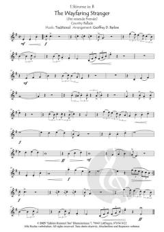 The Wayfaring Stranger 
