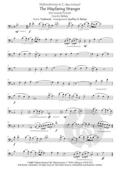 The Wayfaring Stranger 