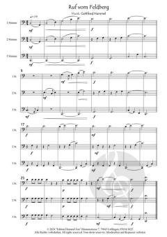 3 Celli auf Bergtour von Gottfried Hummel 