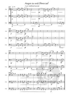 3 Celli auf Bergtour von Gottfried Hummel 