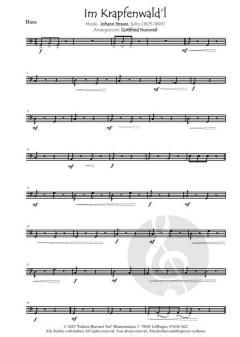 Streetlife live! Johann Strauss "Im Krapfenwald´l" von Johann Strauss (Sohn) 