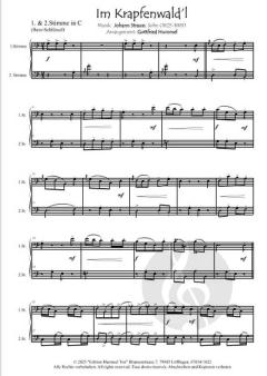 Streetlife live! Johann Strauss "Im Krapfenwald´l" von Johann Strauss (Sohn) 