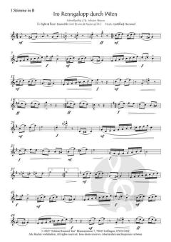 Im Renngalopp durch Wien von Gottfried Hummel 