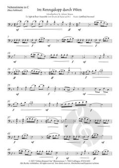 Im Renngalopp durch Wien von Gottfried Hummel 