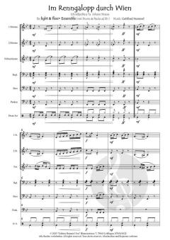 Im Renngalopp durch Wien von Gottfried Hummel 