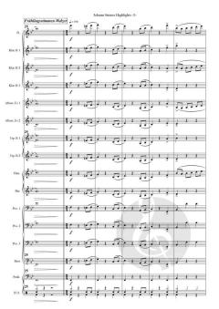 Johann Strauss Highlights von Johann Strauss (Sohn) 