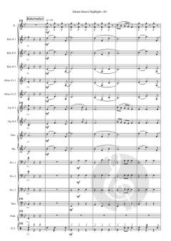 Johann Strauss Highlights von Johann Strauss (Sohn) 