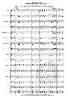 Johann Strauss Highlights von Johann Strauss (Sohn) 