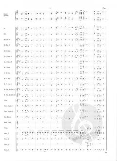 Band Time Expert von Jacob de Haan 