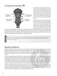 Do-It-Yourself Mandolin von Jeremy Chapman 