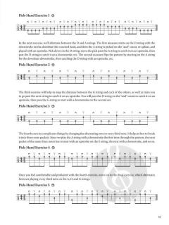 Do-It-Yourself Mandolin von Jeremy Chapman 