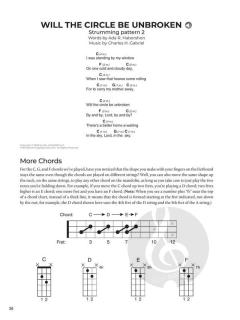 Do-It-Yourself Mandolin von Jeremy Chapman 