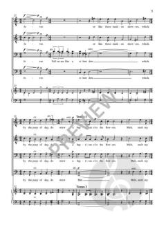 My Flight for Heaven von B. R. Henson 