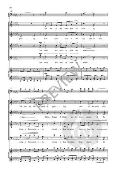 The Soul in Flight von Roger Ames 