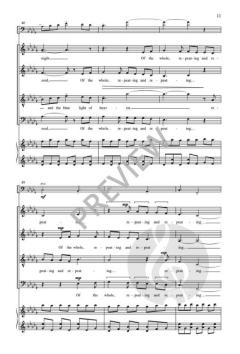 The Soul in Flight von Roger Ames 