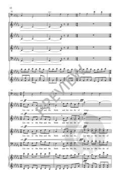 The Soul in Flight von Roger Ames 