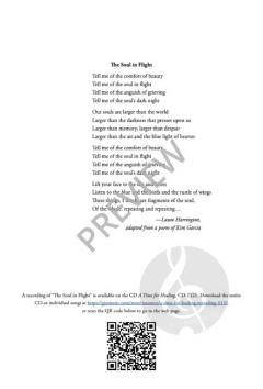 The Soul in Flight von Roger Ames 