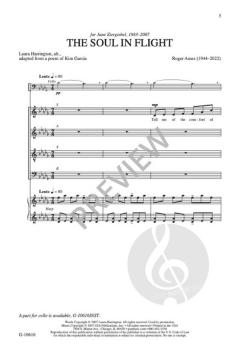 The Soul in Flight von Roger Ames 