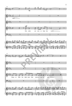 The Soul in Flight von Roger Ames 