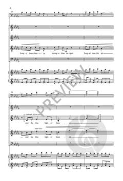 The Soul in Flight von Roger Ames 