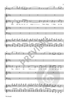 The Soul in Flight von Roger Ames 