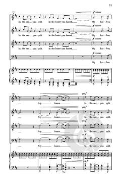 My Harbor, My Home von Dominick DiOrio 