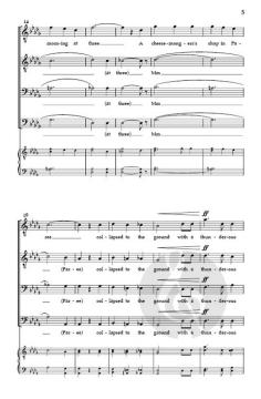 6 Limericks von David A. Gerig 