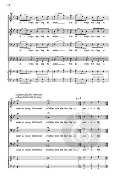 6 Limericks von David A. Gerig 