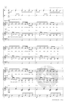 Hanukkah von Suzanne Sherman Propp 