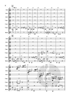 Der Ritt des dreihöckrigen Kamels von Yannick Dreifert (Download) 