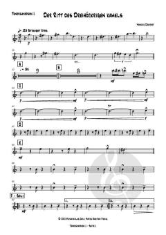 Der Ritt des dreihöckrigen Kamels von Yannick Dreifert (Download) 