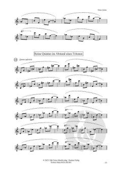 Quintology Vol. 1 von Norbert Stein (Download) 