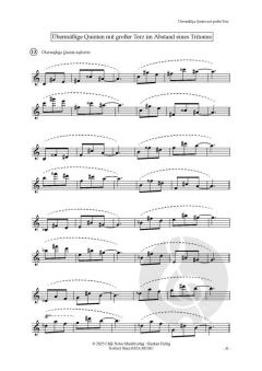 Quintology Vol. 2 von Norbert Stein 