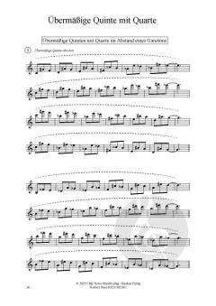 Quintology Vol. 2 von Norbert Stein 