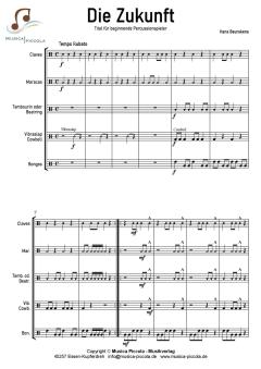 Die Zukunft von Hans Beurskens 