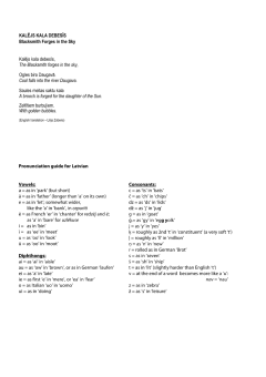 Kalējs kala debesī von Selga Mence 