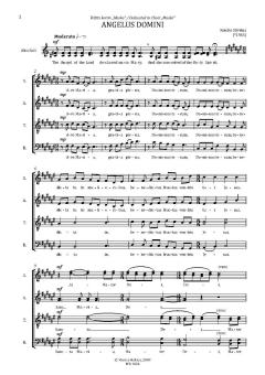 Angelus Domini von Renate Stivriņa 