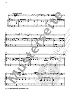 Konzert D-Dur op. 1  von Carl Stamitz 