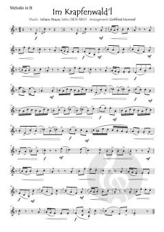 Ein Strauss mit Strauss von Johann Strauss (Sohn) 