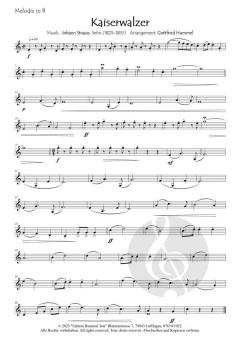 Ein Strauss mit Strauss von Johann Strauss (Sohn) 