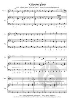 Ein Strauss mit Strauss von Johann Strauss (Sohn) 