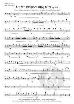 Ein Strauss mit Strauss von Johann Strauss (Sohn) 