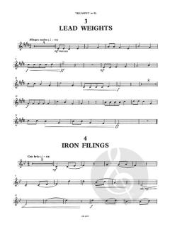 Metal Pieces von Rory Boyle 