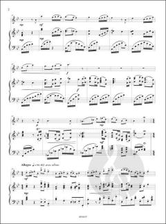 Le Fabuleux Voyage de Chloé et Thomas von Sebastien Boudria 