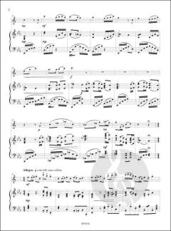 Le Fabuleux Voyage de Chloé et Thomas von Sebastien Boudria 