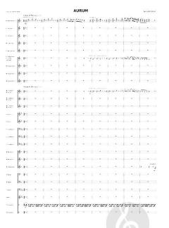 Aurum (Fanfarenorchester) von Bert Appermont 