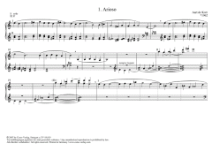 Improvisationen für Orgel solo von Aart de Kort 