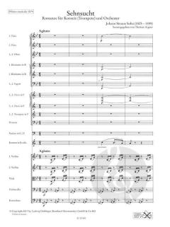 Sehnsucht von Johann Strauss (Sohn) 