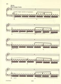 Klavierwerke 4 von Franz Liszt 