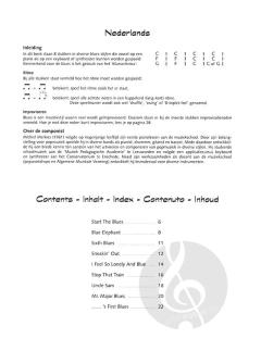 The Blues Vol. 1 von Michiel Merkies 